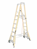 Fibreglass Ladders _ Step Platform